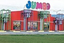 O ΕΦΕΤ ανακαλεί πιρούνια από τα Jumbo