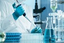 Επιστήμονες θα πειραματιστούν με μίνι-εγκεφάλους που θα περιέχουν DNA Νεάντερταλ