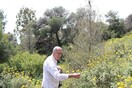 Πέθανε ο Αντώνης Ζώης, σημαντικός αρχαιολόγος και πανεπιστημιακός