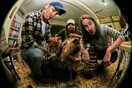 7 ημέρες, 21 μπάντες - Η Μέκκα του Post ήχου στο Six Dogs