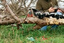 Μαζική εξόντωση κορακοειδών αποφασίστηκε στην Καλαμάτα