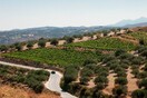 Νέα μελέτη δείχνει πώς η κλιματική αλλαγή και η λειψυδρία θα επηρεάσουν την Ελλάδα και τη Νότια Ευρώπη