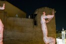 Η ανακοίνωση της Στέγης Γραμμάτων και Τεχνών για τη διακοπή της προβολής του έργου Stills