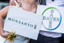 Aνακοίνωση Bayer με αφορμή την καταδίκη της Monsanto: Η γλυφοσάτη δεν είναι καρκινογόνα