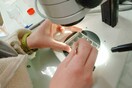 Δημοσιογράφοι δημοσίευσαν ψεύτικη μελέτη για τον καρκίνο για να αποδείξουν τα επί πληρωμή fake news
