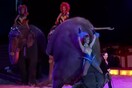 Ελέφαντας έπεσε σε θεατές - Οργή για το βίντεο από τσίρκο στη Γερμανία
