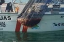 Εισβολή μεδουσών σε ακτές της Ισπανίας - 150 άνθρωποι τσιμπήθηκαν