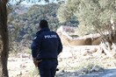 Συνελήφθη σωφρονιστικός υπάλληλος στα Χανιά για ξυλοδαρμό επιχειρηματία