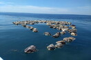 Ένα θλιβερό θέαμα: Με εκατοντάδες νεκρές θαλάσσιες χελώνες έχουν γεμίσει οι ακτές του Μεξικού