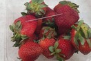 Η κρίση της φράουλας - Τα φρούτα με κρυμμένες βελόνες έχουν προκαλέσει πανικό στην Αυστραλία