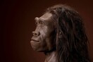 Οι αρχαίοι άνθρωποι εξαφανίστηκαν λόγω τεμπελιάς;