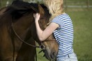 Τα άλογα αναγνωρίζουν τα ανθρώπινα συναισθήματα