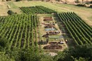 Βρέθηκαν στην Κροατία ίχνη του αρχαιότερου τυριού στη Μεσόγειο - Μοιάζει με φέτα