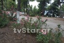 Άγριο έγκλημα στη Φθιώτιδα - Άντρας βρέθηκε δολοφονημένος στην άκρη του δρόμου