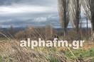 O ειδικός φρουρός που συνελήφθη για τη δολοφονία του οδηγού ταξί στην Καστοριά είχε πυροβολήσει τον Νίκο Μαζιώτη
