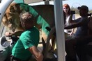 Λιοντάρι πηδάει σε αυτοκίνητο τουριστών και αρχίζει τα χάδια (ΒΙΝΤΕΟ)