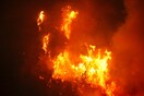 Μεγάλη φωτιά στον Σχινιά: Ισχυροί άνεμοι - Δεν απειλούνται κατοικίες