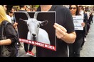 Πορεία για τα δικαιώματα των ζώων θα λάβει χώρα στο κέντρο της Αθήνας