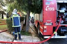 Φωτιά στο Άλσος Βεΐκου