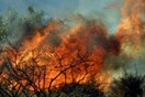 Μεγάλη φωτιά στον Άγ. Ιωάννη Βόρειας Κυνουρίας