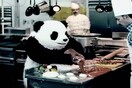 Angry panda