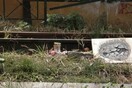 Πάτρα: Προφυλακιστέος κρίθηκε ο Αφγανός για τη δολοφονία