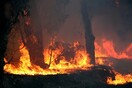Εφιαλτικές εκτιμήσεις: Η Ευρώπη θα πλήττεται κάθε χρόνο από φονικές θεομηνίες