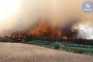 Υπό μερικό έλεγχο η φωτιά στη Ρόδο - Μεγάλες οι ζημιές από τα πύρινα μέτωπα