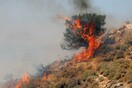 Απαγόρευση κυκλοφορίας σε δάση και δρυμούς στο Ρέθυμνο υπό το φόβο πυρκαγιών