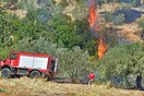 Σε εξέλιξη πυρκαγιές σε Δοκό Ευβοίας και Πρόδρομο Θηβών