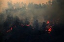 Αναζωπυρώθηκε σε τρία μέτωπα η πυρκαγιά στην Κύπρο