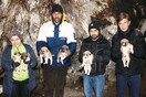 Ένας πλάτανος 800 ετών γίνεται καταφύγιο για κουτάβια