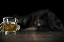 Χανιά: Νεκρός 40χρονος από υπερβολική κατανάλωση αλκοόλ σε μπαρ