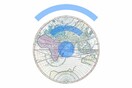 Ετοιμάζεται η διακήρυξη για την ελευθερία του διαδικτύου