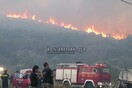 Δύο συλλήψεις για την πυρκαγιά στη Σάμο