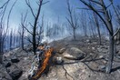 Σε εξέλιξη η φωτιά στα Μέγαρα