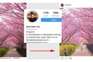 Πώς αυτός ο star του Instagram και influencer αποδείχθηκε ότι ήταν κοινός κλέφτης
