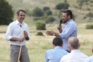 Το Twitter γλεντάει το σανό του Μητσοτάκη και το βουκολικό σκηνικό