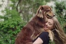 Ο καλύτερος φίλος της Amanda Seyfried είναι ο σκύλος της