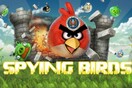 Επίθεση χάκερ στη σελίδα των Angry Birds