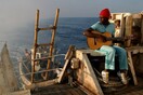 Ο Bowie στα πορτογαλικά από το Life Aquatic with Steve Zissou τώρα και live