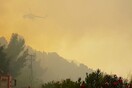 Σε κατάσταση έκτακτης ανάγκης οι πυρόπληκτες περιοχές της Βόρειας Εύβοιας