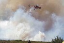 Ζημιές σε σπίτια από την πυρκαγιά στο Πόρτο Λάφια της Εύβοιας - Πύρινα μέτωπα σε Αλμυροπόταμο Αλιβερίου και Τζια