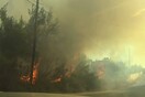 Μυστήριο με το απανθρακωμένο πτώμα στο Μαντούδι Ευβοίας