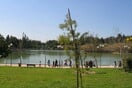 Νature For All: Κάνοντας βραβευμένη δουλειά για το ελληνικό περιβάλλον