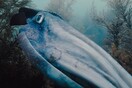 Voyage of Time: Το έργο ζωής του Τέρενς Μάλικ