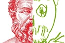 Αυτό που απομένει