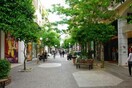 Άγνωστοι έκοψαν 10 δέντρα σε κεντρικό δρόμο του Πειραιά
