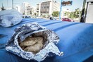 Η παραγωγή τροφίμων απειλεί το περιβάλλον- Μια τετραμελής ελληνική οικογένεια πετά στα σκουπίδια 120 κιλά φαγητού ετησίως