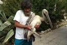 Κλείνει το Κέντρο Περίθαλψης Ζώων στην Αίγινα - Τι βρέθηκε μετά από καταγγελίες